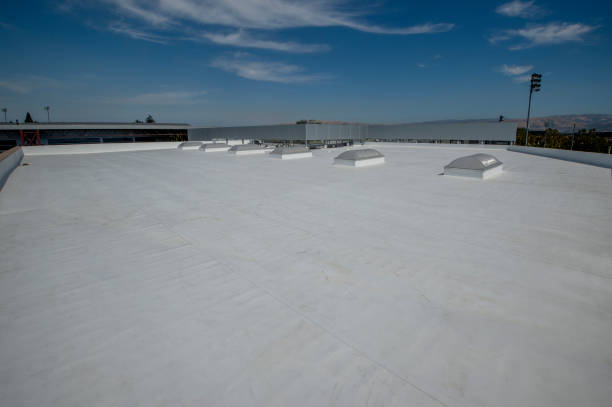 Best Gutter Installation and Repair  in Salisbury, MO