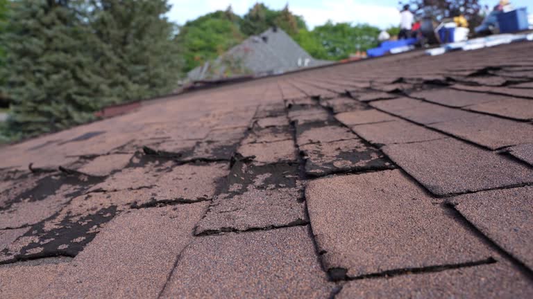 Best Steel Roofing  in Salisbury, MO