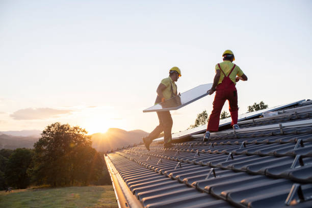 Best Roof Ventilation Installation  in Salisbury, MO