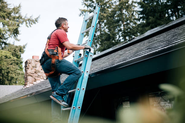 Best Roof Replacement  in Salisbury, MO