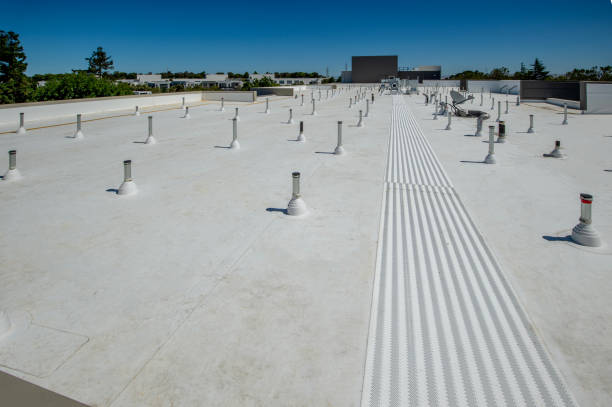 Best Roof Coating and Sealing  in Salisbury, MO